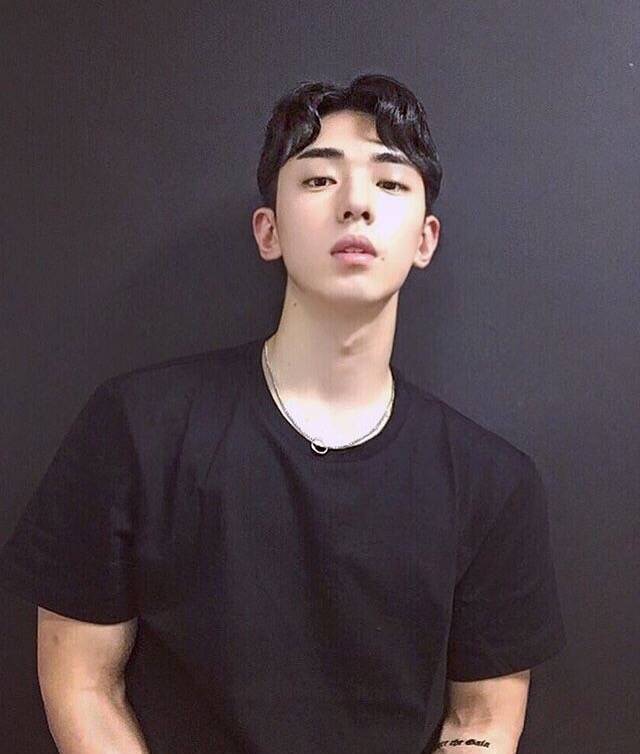 张媚波素