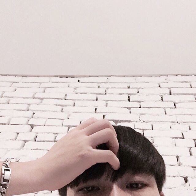 利邦新洋