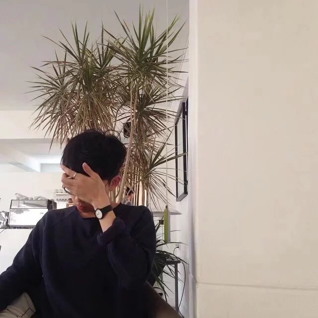 柯哲峰亮