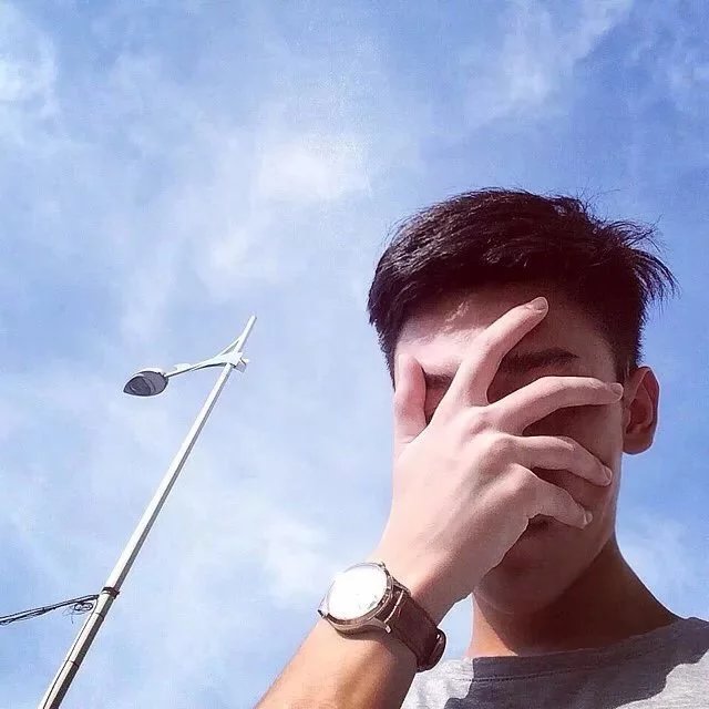 向星叶进