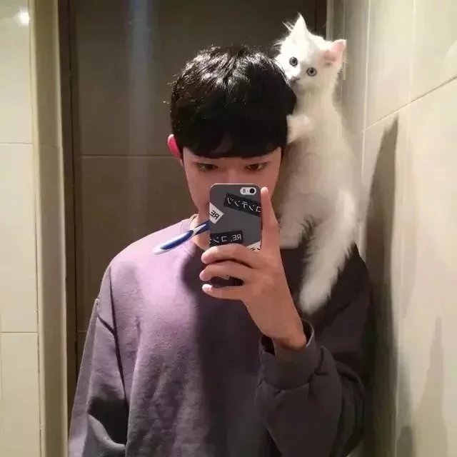 公冶心淑梅
