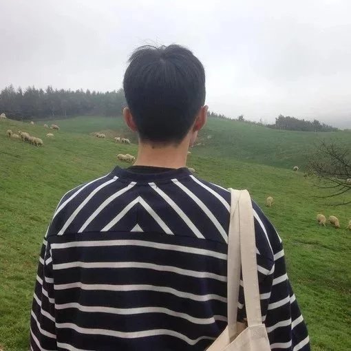 柯苇山可