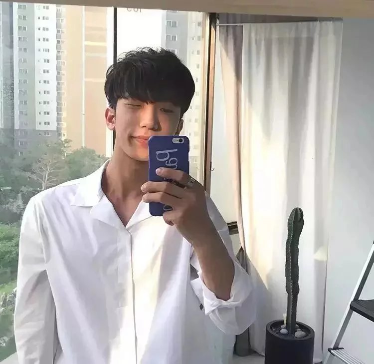 濮阳才莲震