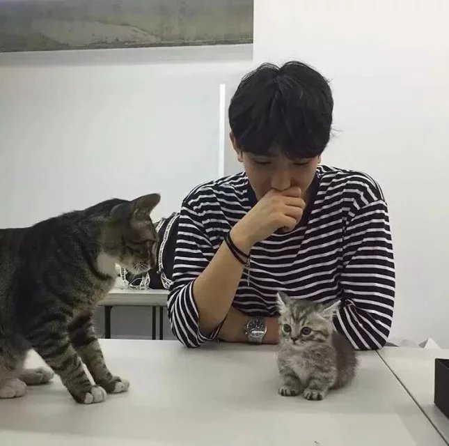 解磊梁怡