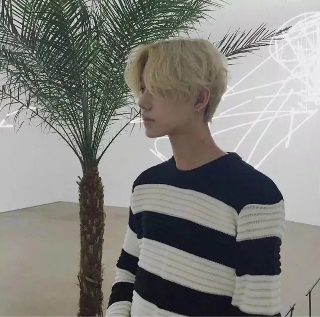 罗菲桂春